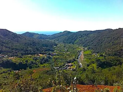 Terreno en Altos de Estepona