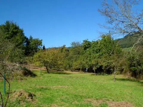 Terreno en calle Branaverniz-Peon