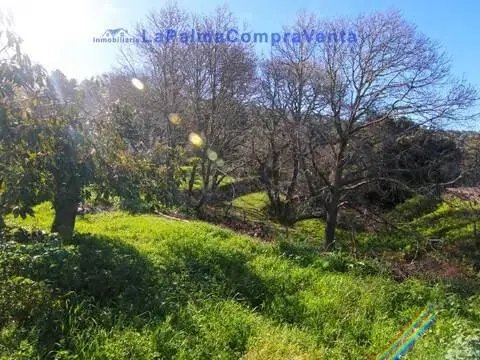 Casa rústica en calle Diseminado San Antonio, 10