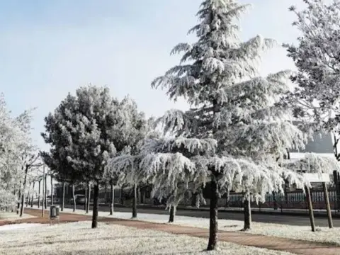 Piso en Villagonzalo Pedernales