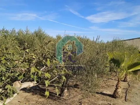 Terreno en Puerto Lumbreras