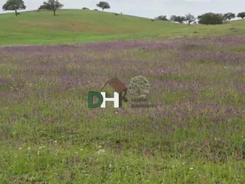 Terreno en Huelva Capital