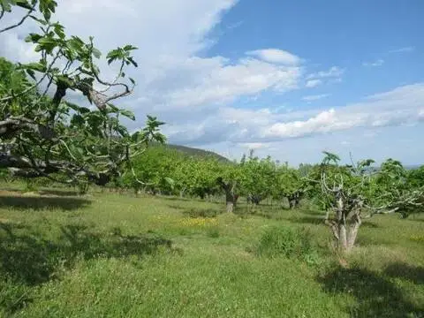 Casa rústica en Candeleda