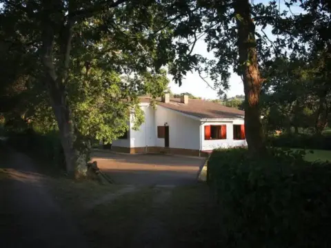 Pis – Villaviciosa
