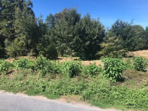 Terreno en O Pereiro de Aguiar