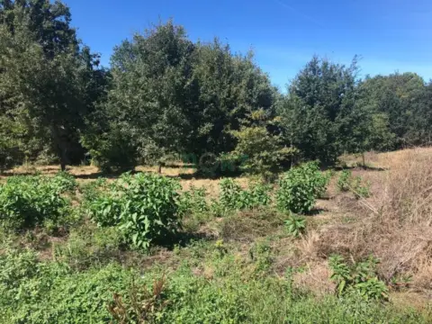 Terreno en O Pereiro de Aguiar