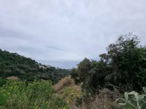 Terreno en Canyelles-La Montgoda