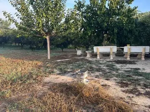 Terreno en Formentera del Segura