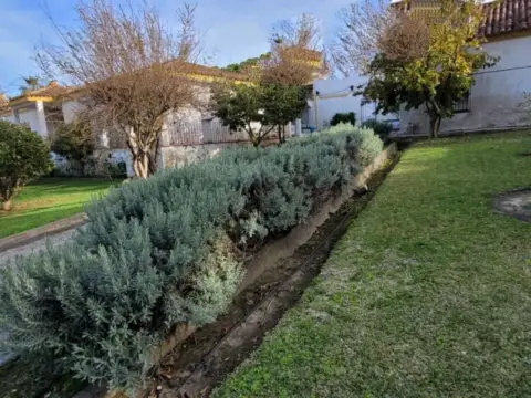 Chalet en calle calle La Palmera los Pinos