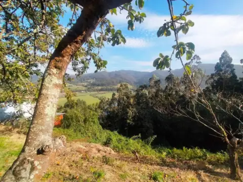 Casa en Buenavista (Pravia)