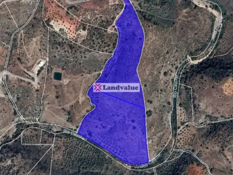 Terreno en calle Arroyo de Coche, Barranco del Sol. Poligono 9, Par