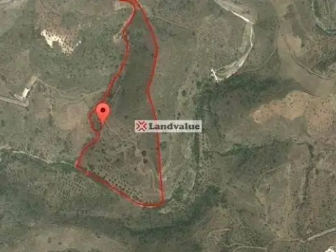 Terreno en calle Arroyo de Coche, Barranco del Sol. Poligono 9, Par