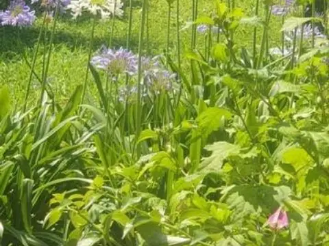 Casa pareada en Kurutziaga Kalea