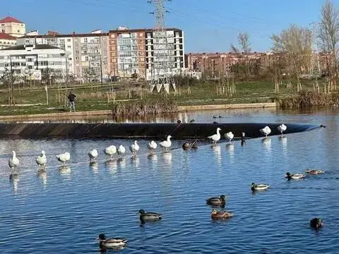 Piso en Burgos Capital