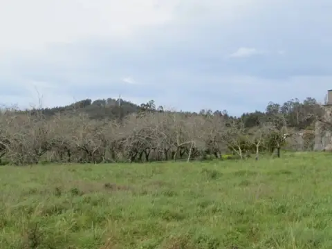 Terreno en calle de Saioso