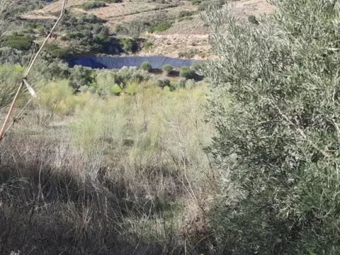 Terreno en El Maulí-Fuentemora-Altos de Santa Ana