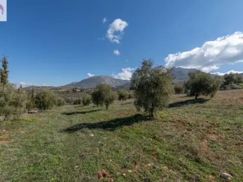 Terreno en Cogollos de La Vega