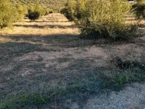 Terreno en Cogollos de La Vega
