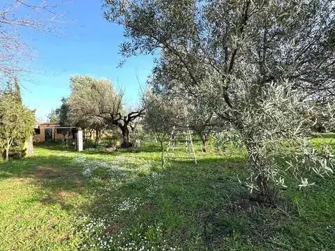 Casa rústica en Selva