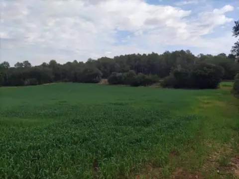 Terreno en Camallera