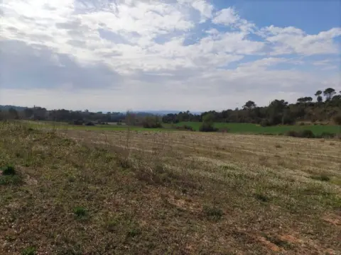 Terreno en Vilopriu