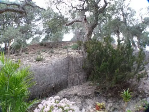 Terreno en Canyelles-La Montgoda