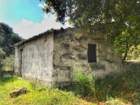 Casa rústica en Selva