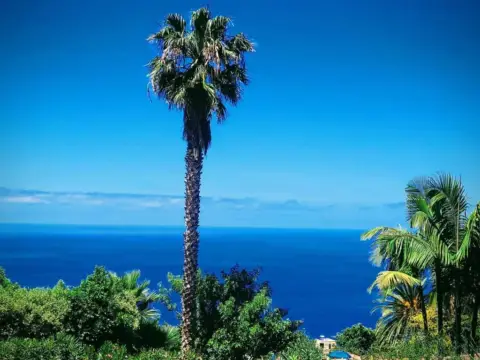 Ático en Santa Úrsula