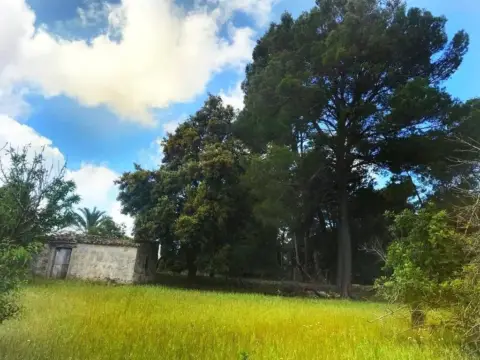 Casa rústica en Selva