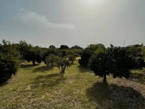 Terreno en Murcia Capital