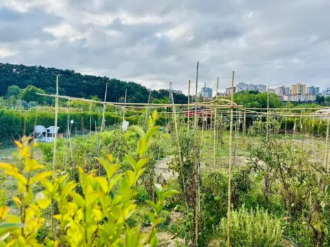 Terreno en Ermitagaña-Mendebaldea-Etxabakoitz