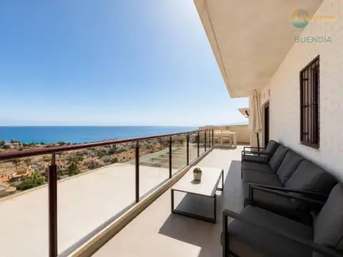 Piso – Cartagena