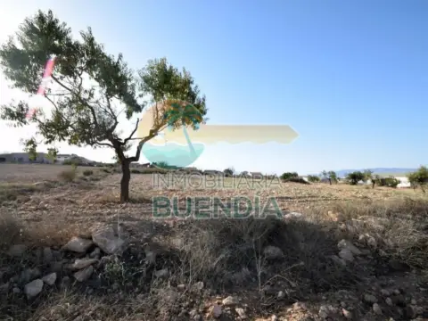 Terreno en Fuente Álamo de Murcia