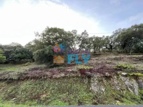 Terreno en San Cibrao Das Viñas (Capital)