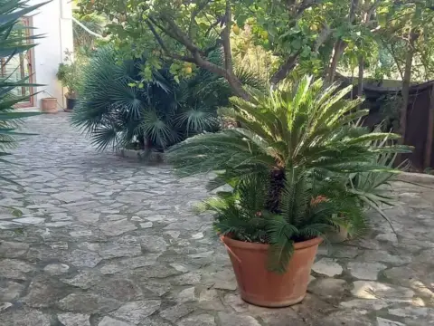 Chalet en calle Plaza Mayor S-N