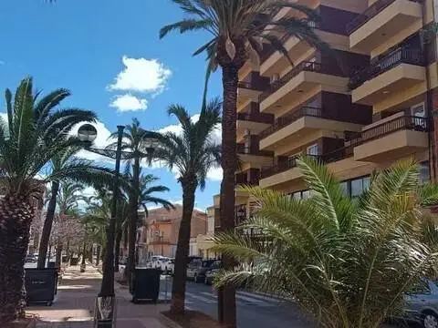 Piso en Avenida de los Reyes Católicos