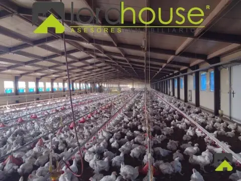 Nave industrial en Lorca