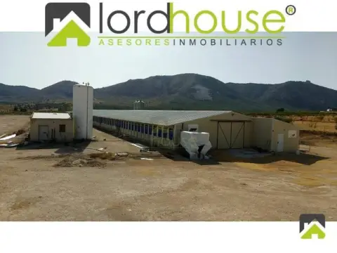 Nave industrial en Lorca