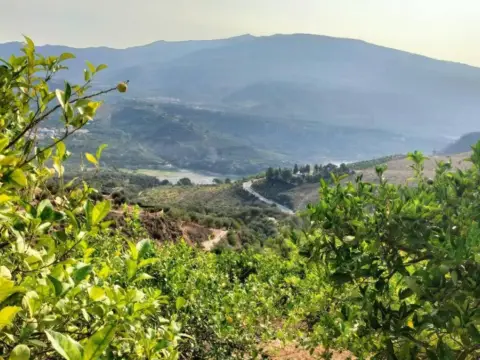 Terreno en Restábal