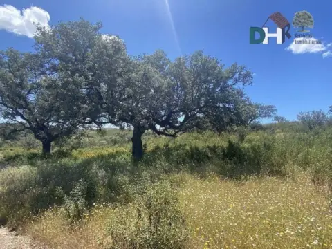 Terreno en Huelva Capital