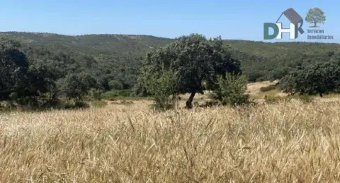 Terreno en Huelva Capital
