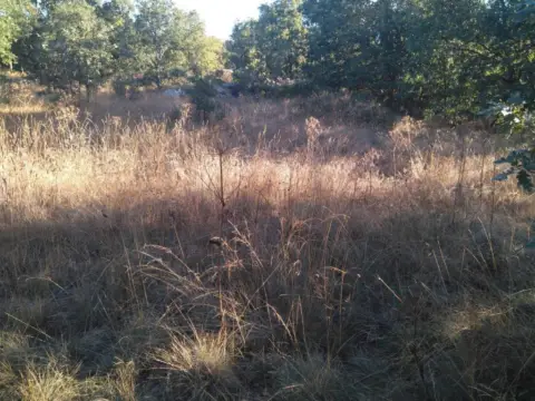 Terreno en Zona Avenida de Valladolid-Barriada Yagüe