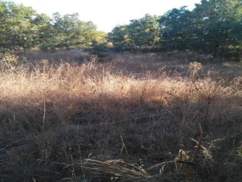 Terreno en Zona Avenida de Valladolid-Barriada Yagüe