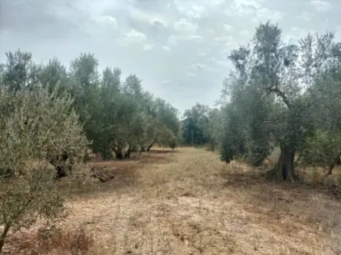 Terreno en Nigüelas
