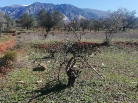 Terreno en calle Marchena