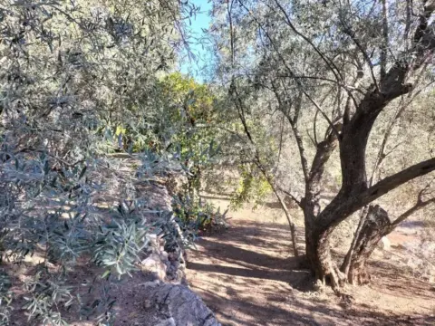 Casa rústica en Pinos del Valle