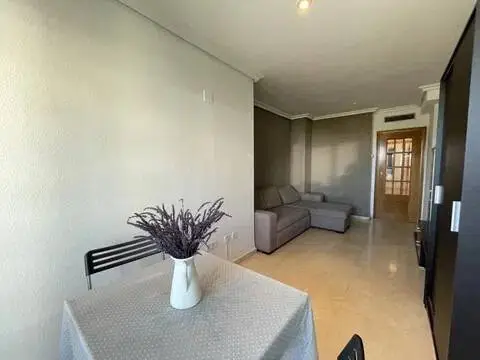 Piso en calle Avenida del Professor Lopez Pinero, 4