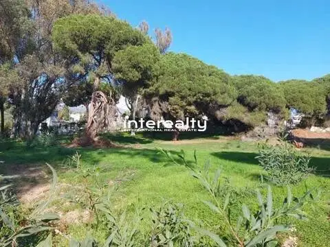 Terreno en Casco Antiguo