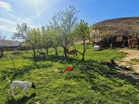 Casa rústica en San Martín de Unx