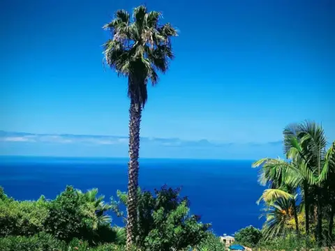 Ático en Santa Úrsula